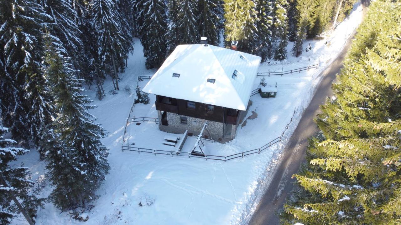 Apartments Villa Vesna Pokljuka Горельек Экстерьер фото